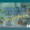 Microplastiche e Infertilità: Come Difendersi in Casa e Proteggere la tua Famiglia