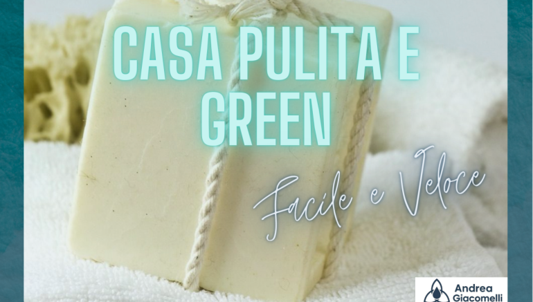 PULIRE CON SOLA ACQUA ? Ecco il potere della pulizia naturale, sicura e sostenibile